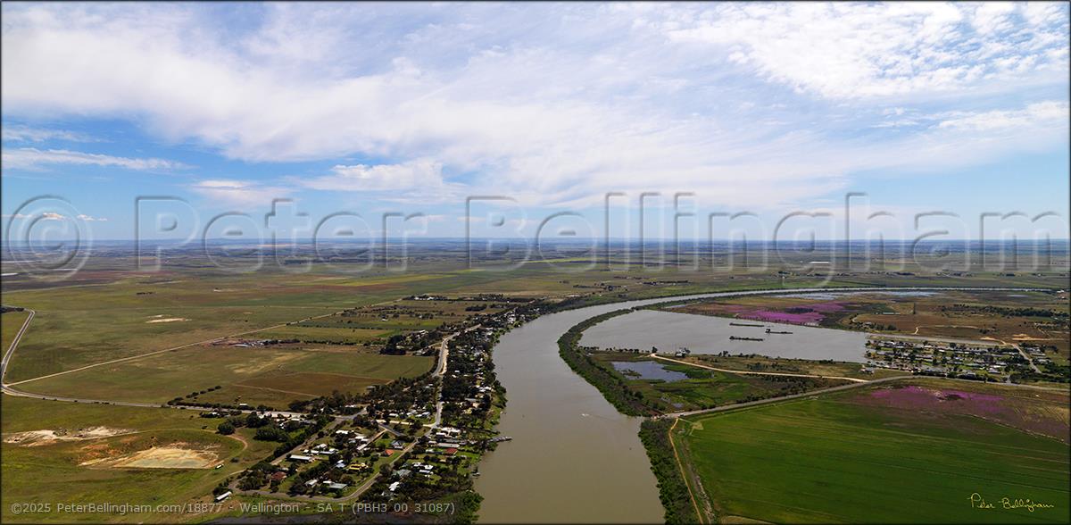 Peter Bellingham Photography Wellington - SA T (PBH3 00 31087)